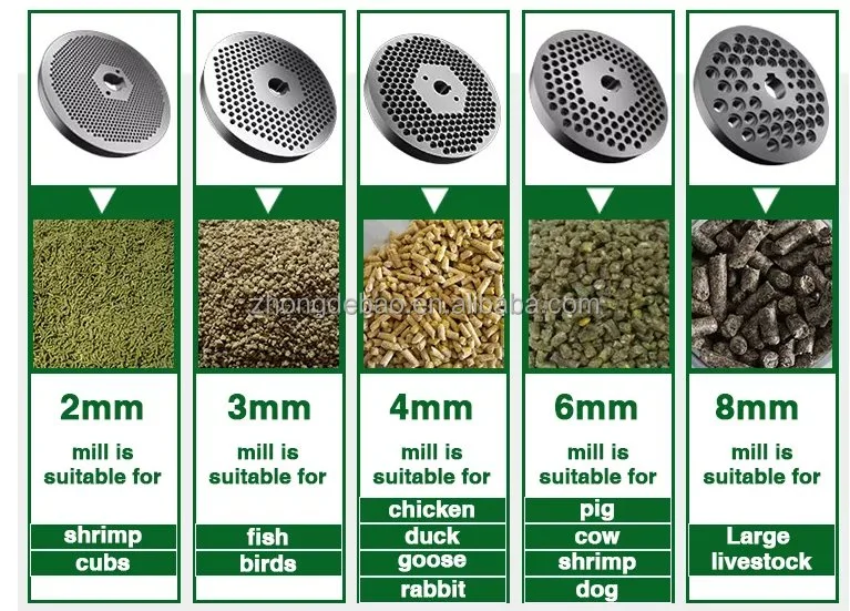 3-5t /H Horizontal Ring Die Poultry Livestock Chicken Feed Pellet Machine