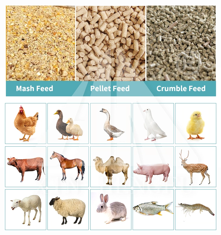 Automatic Animal/Poultry/Livestock/Chicken Pellet Feed Mill Plant