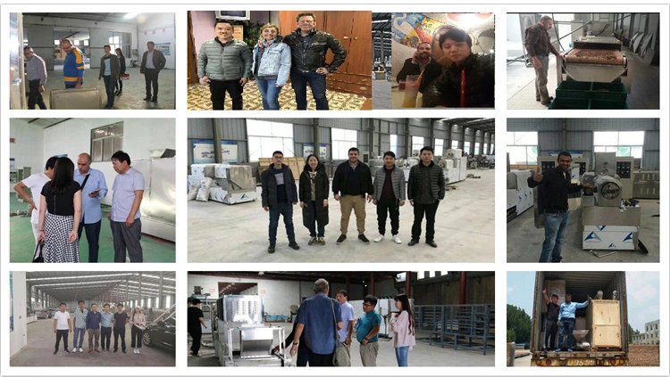 Professional Dry Floating Fish Shrimp Feed Pellet Processing Making Equipment Machine Animal Aquarium Pet Food Plant Production Line Extruder