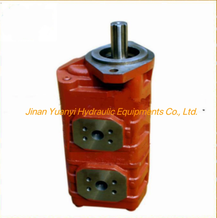 Cbgj1032/1032 Cbgj1040/1040 Dual Gear Pump Hydraulic Pump