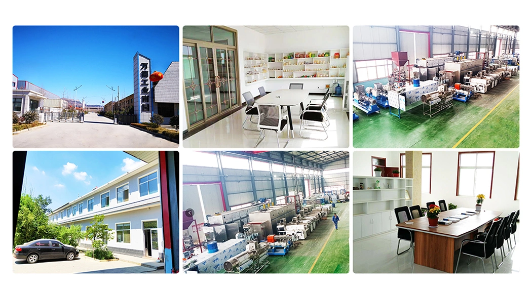 Chinese Aquatic Floating Fish Feed Pellet Manufacturer Processing Line Machinery Twin-Screw Extruder