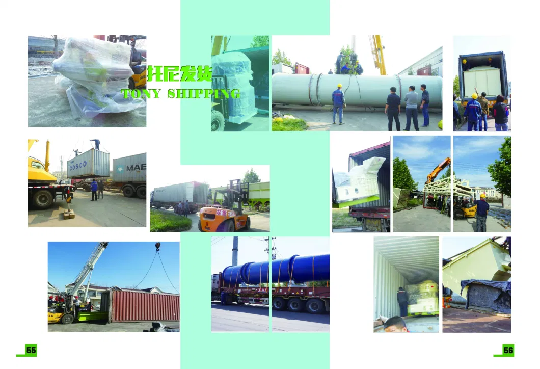 China Professional Manufacturer Ring Die Biomass Pellet Machine Wood Pellet Mill Price