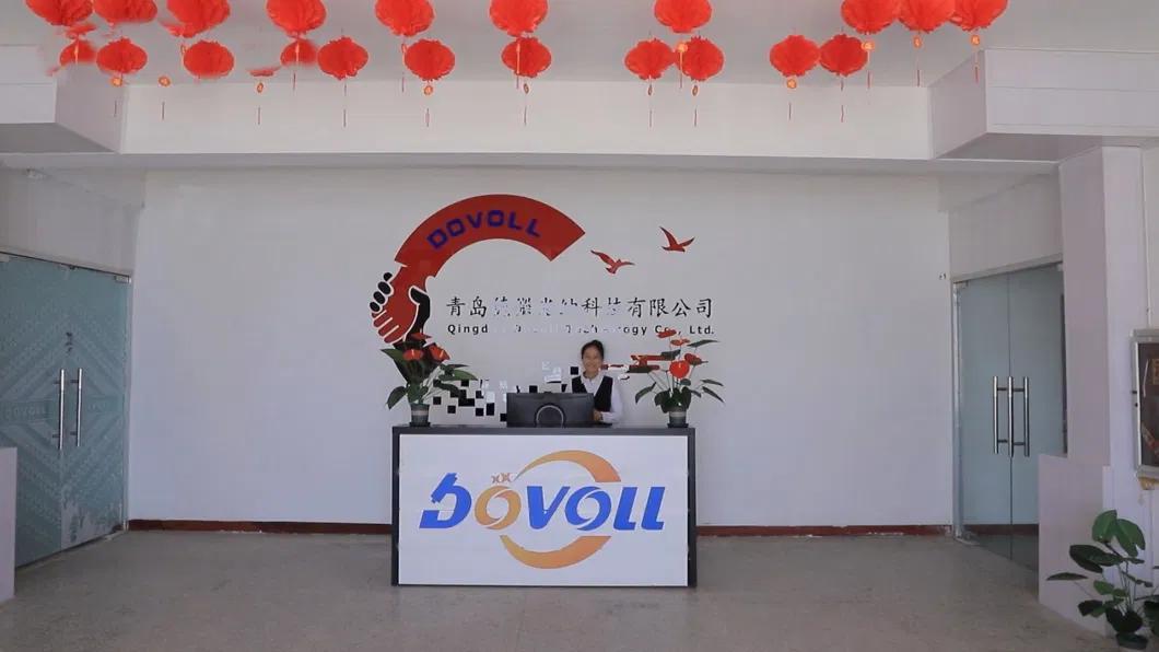 Dovoll Automatic Bottle Water Beverage Juice Soda Drink Purifying Filter System Washing Filling Capping Labeling Printing Packing Packaging Machine Line