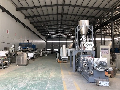 Industrial Floating Fish Feed Making Machine Plant Big Capacity Sinking Dry Fish Feed Pellet Food Extruder