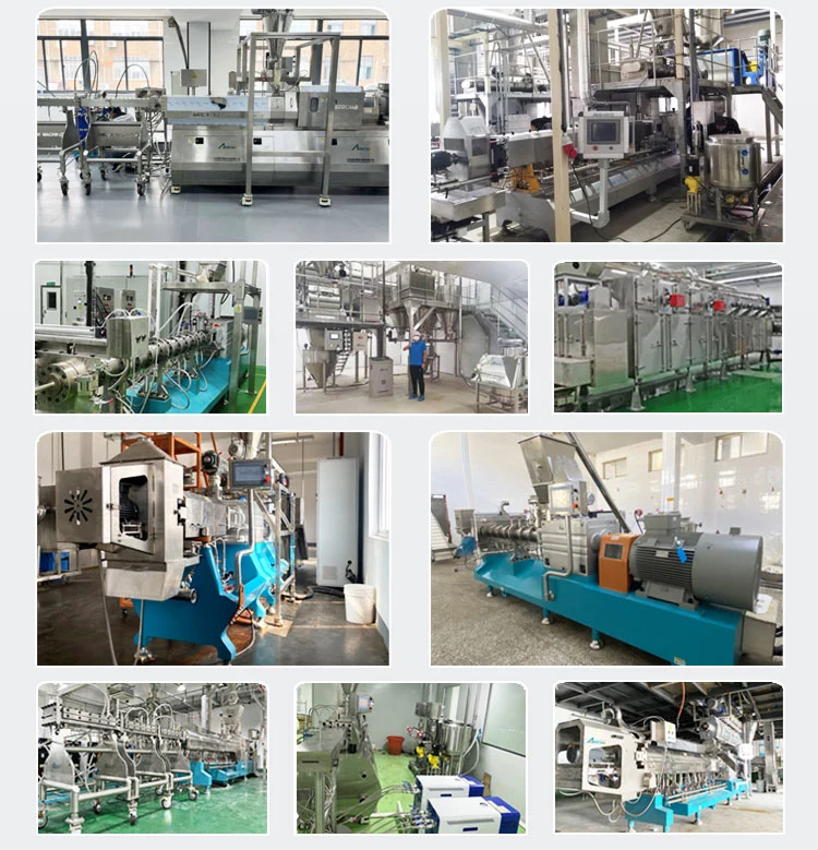 3 Ton Fish Floating Feed Pellet Making Machine Automatic Trout Fish Feeding Production Line