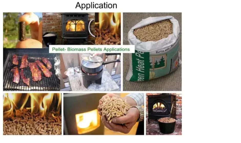 Hot Sale CE Approved Series Pellet Production Equipment / Biofuel Pellet Making Machine /Wood Sawdust Pellet Making Mill Vertical Ring Die Biomass Wood