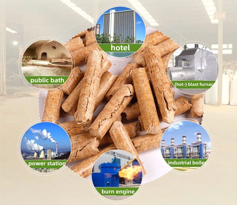 Small Type Industrial Making Wood Biomass Pellet Machine Complete Production Line Price