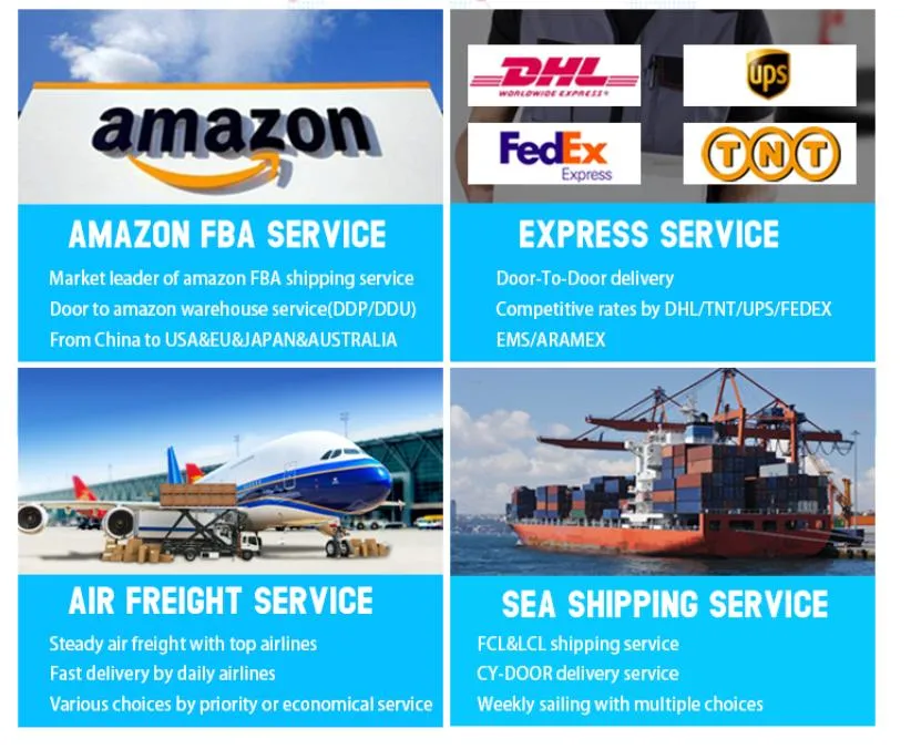 Amazon Fba Warehouse DDP by Sea/Railway/Air Transport