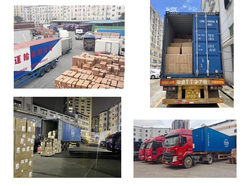 Amazon Fba Warehouse DDP by Sea/Railway/Air Transport