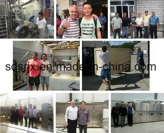 Chinese Automatic Petfood Pellets Machines Production Machine Line Manufacturer and Service Supplier