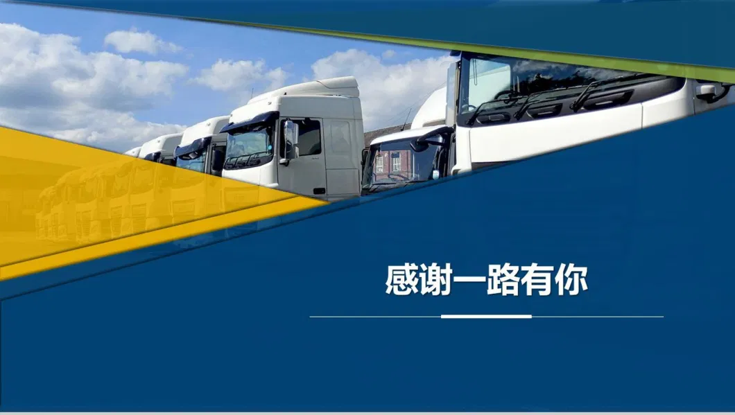 Experienced China to Austria Sea/Air DDP/DDU, Freight Forwarder Transport Price Reduction