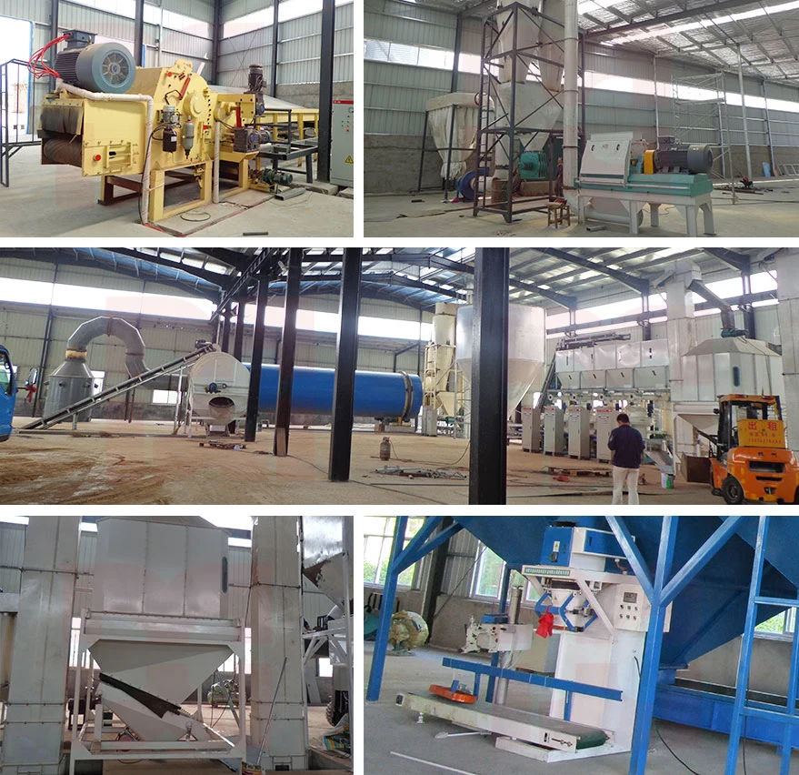 Ring Die Rice Husk Pellet Mill, Customied Biomass Pellet Plant for Sale