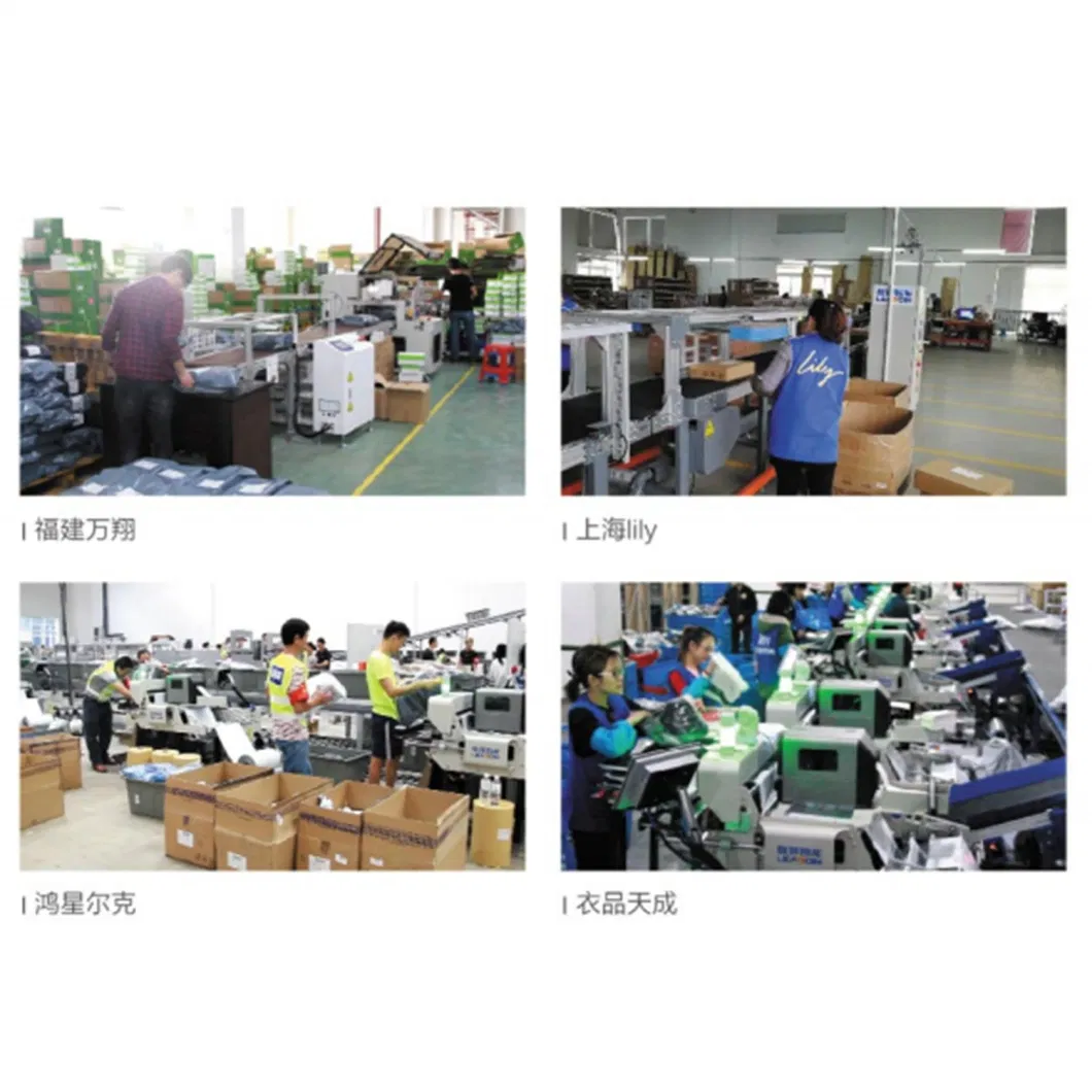 Fully Automatic Logistic Sorting Equipment Supplier
