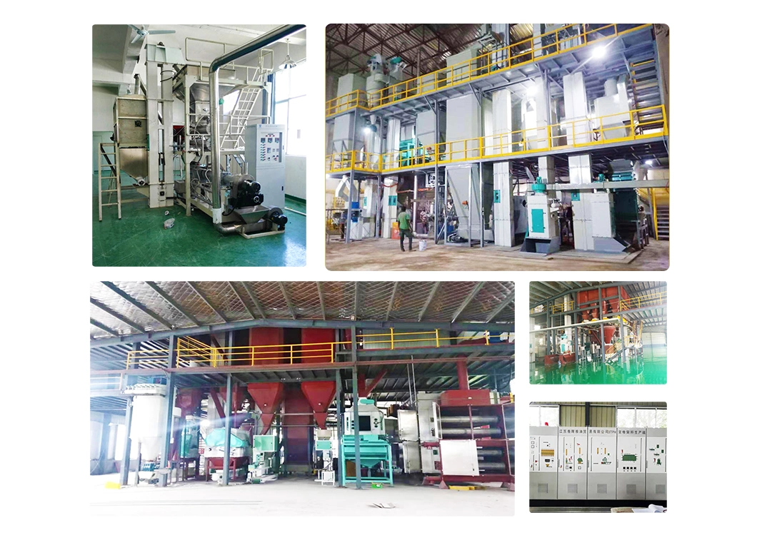 Chinese Aquatic Floating Fish Feed Pellet Manufacturer Processing Line Machinery Twin-Screw Extruder