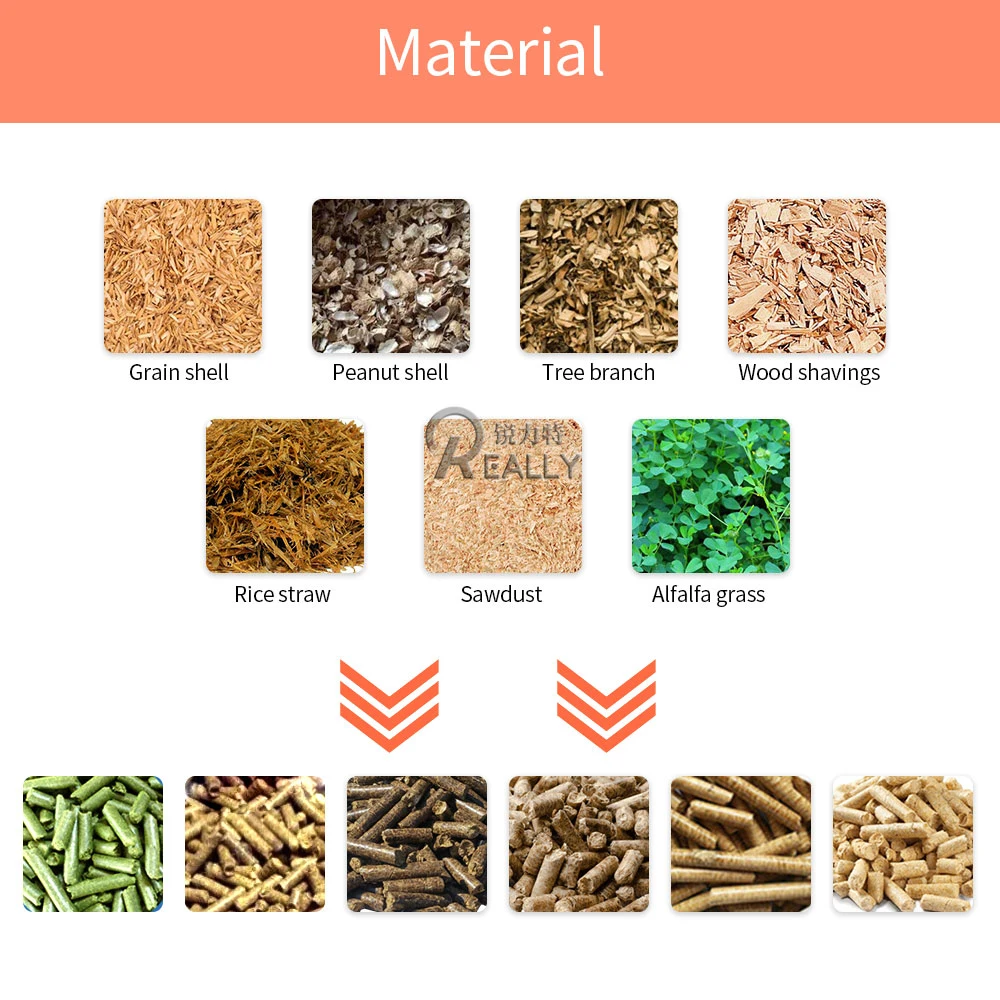 Biomass Wood Pellet Machine Sawdust Press Granular Roller Rotate Pellet Mill with 3 Year Warranty