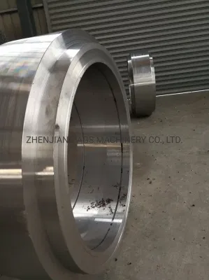 Pellet Mill acciaio inox/acciaio legato anello stampo/matrice/rullo
