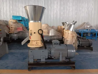 100 kg/H macchina per la produzione di pellet di legno riso Husk granulatore di segatura biomassa Macchina per macinacalle con pellet di combustibile CE