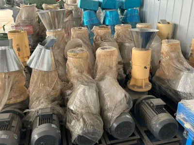 100 kg/H macchina per la produzione di pellet di legno riso Husk granulatore di segatura biomassa Macchina per macinacalle con pellet di combustibile CE