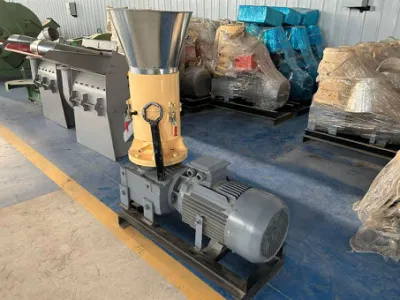 100 kg/H macchina per la produzione di pellet di legno riso Husk granulatore di segatura biomassa Macchina per macinacalle con pellet di combustibile CE