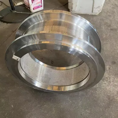 SS X46cr13 Die ad anello legno per pellet Mill Die Pellet macchina Stampo ad anello di alta qualità per CPM /Funsam /Buhler /Andritz