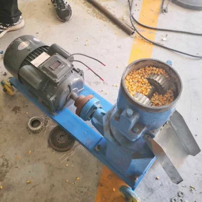 Pellet di legno funzionale per la produzione di pellets di pollo Feed Pellet con Servizio buono