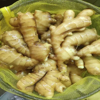 Fornitura selezionata Super Quality Cinese fresco o aria essiccata Ginger