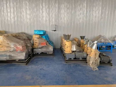 100 kg/H macchina per la produzione di pellet di legno riso Husk granulatore di segatura biomassa Macchina per macinacalle con pellet di combustibile CE