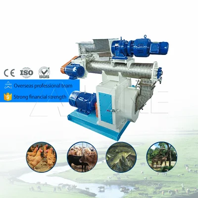 Lane Biomass Pellet Machine granulatore a biomassa ad anello orizzontale Fornitore anello a frangitore