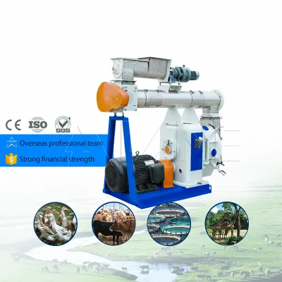 Lane Biomass Pellet Machine granulatore a biomassa ad anello orizzontale Fornitore anello a frangitore