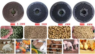 Pellet di legno funzionale per la produzione di pellets di pollo Feed Pellet con Servizio buono