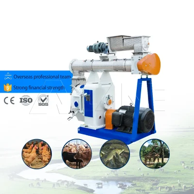 Lane Biomass Pellet Machine granulatore a biomassa ad anello orizzontale Fornitore anello a frangitore