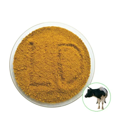 Farina di pellet di alimentazione di glutine di mais 60% supplemento di proteina di polvere di proteina Alimentazione glutine di mais