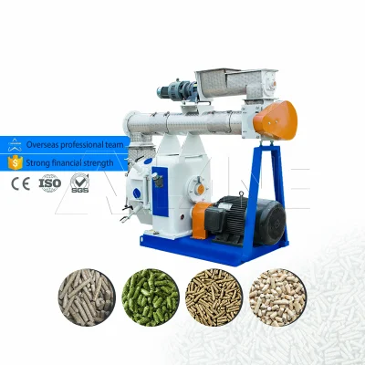 Lane Biomass Pellet Machine granulatore a biomassa ad anello orizzontale Fornitore anello a frangitore