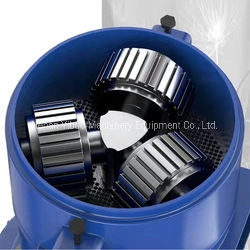 Animali bovini ovini mangimi Pig Pellet Mill Pellet fabbricazione