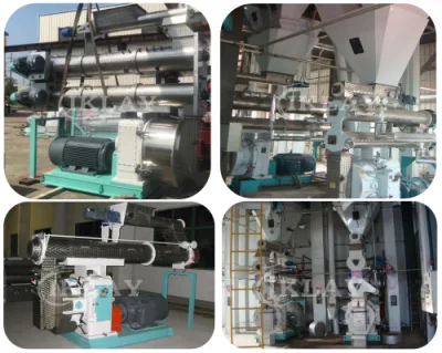 12-15th Szlh508 linea di produzione di mangimi per pollame impianto di produzione di pellet Linea di alimentazione del pollo di pollame