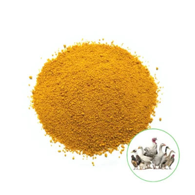 Farina di pellet di alimentazione di glutine di mais 60% supplemento di proteina di polvere di proteina Alimentazione glutine di mais