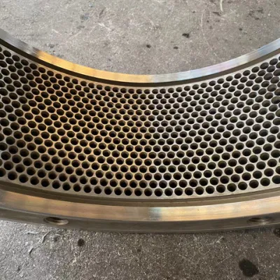 SS X46cr13 Die ad anello legno per pellet Mill Die Pellet macchina Stampo ad anello di alta qualità per CPM /Funsam /Buhler /Andritz