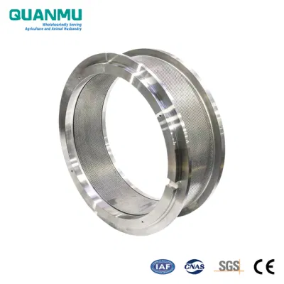 Acciaio inox X46cr13 (4Cr13) anello di stampo in macchine di lavorazione a macchina Pezzi di ricambio per macchine per granulazione