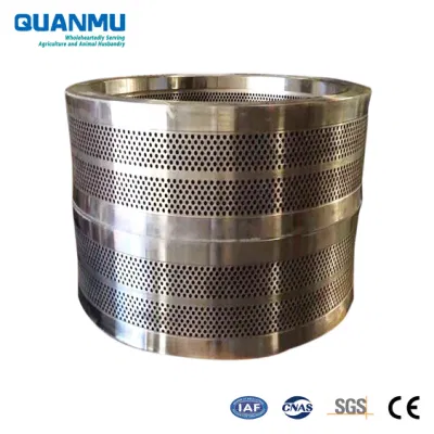 Acciaio inox X46cr13 (4Cr13) legno, segatura e biomassa anello di fresatura pellet Die