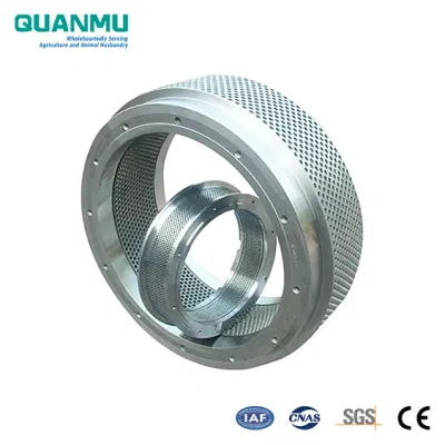 Acciaio inox X46cr13 (4Cr13) anello di stampo in macchine di lavorazione a macchina Pezzi di ricambio per macchine per granulazione