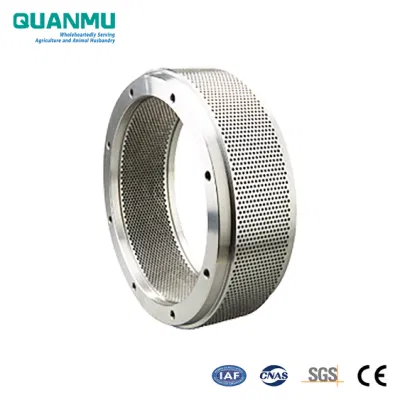 Acciaio inox X46cr13 (4Cr13) anello di stampo in macchine di lavorazione a macchina Pezzi di ricambio per macchine per granulazione
