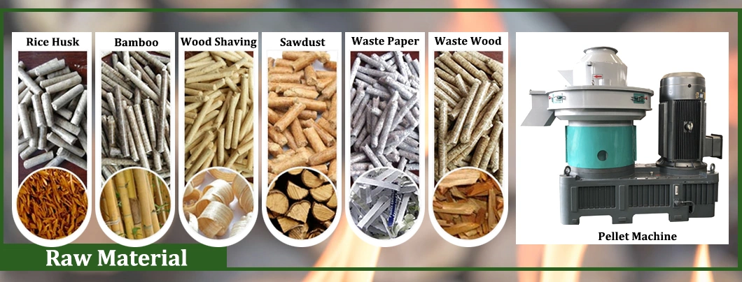 Biofuel Energy Straw Rice Husk Sawdust Bamboo Powder Tree Branches Biomass Wood Pellet Mill