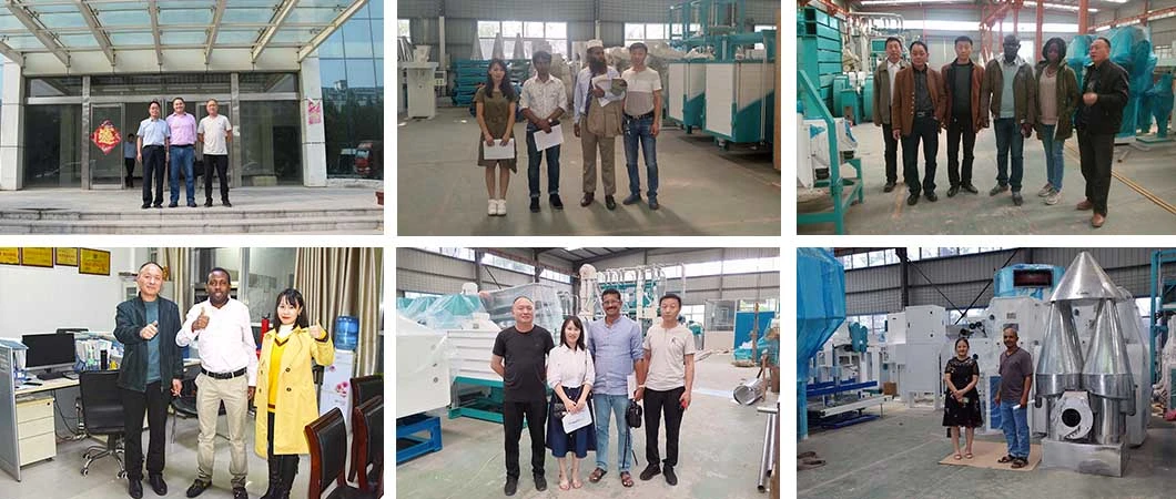 Refined Wheat Flour Mill Wheat Flour Mill Spare Parts