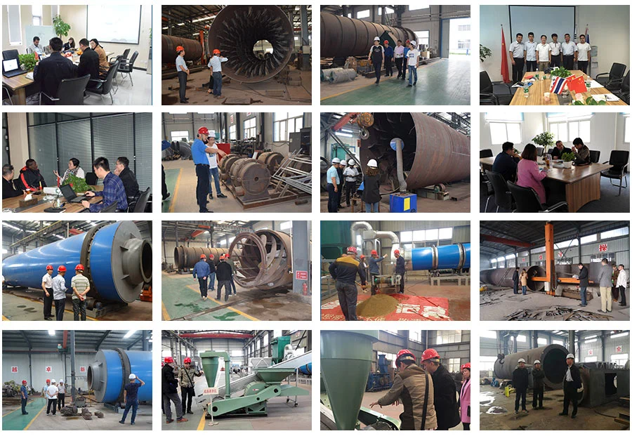 Ring Die Rice Husk Pellet Mill, Customied Biomass Pellet Plant for Sale