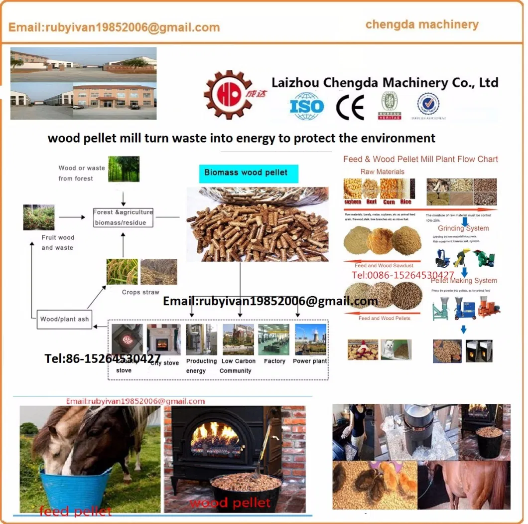 Tree Branches Biomass Wood Pellet Machine/Fiber Pellet Press /Wool Pellet Mill/Plastic Pellet Machinery