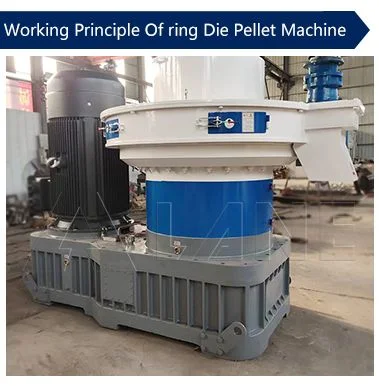 Lane Biomass Pellet Machine Vertical Ring Die Type Biomass Granulator Supplier Pelet Machine Ring Die