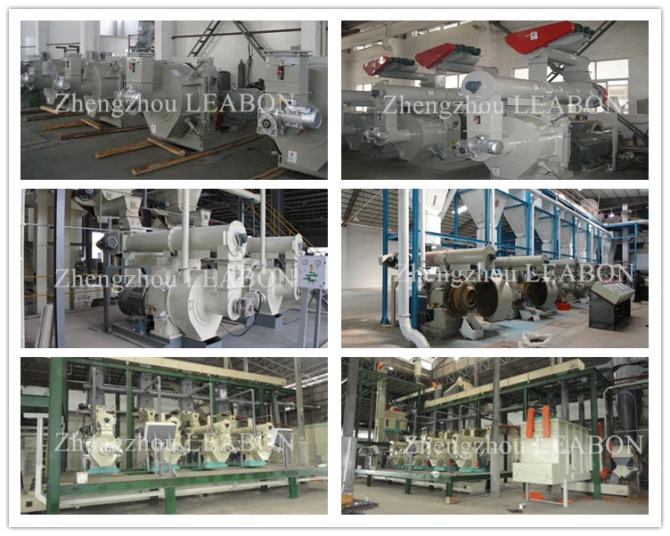 2-3t/H Biomass Spruch Wood Sawdust Pellet Production Line Plant Granulator Making Machine Mill