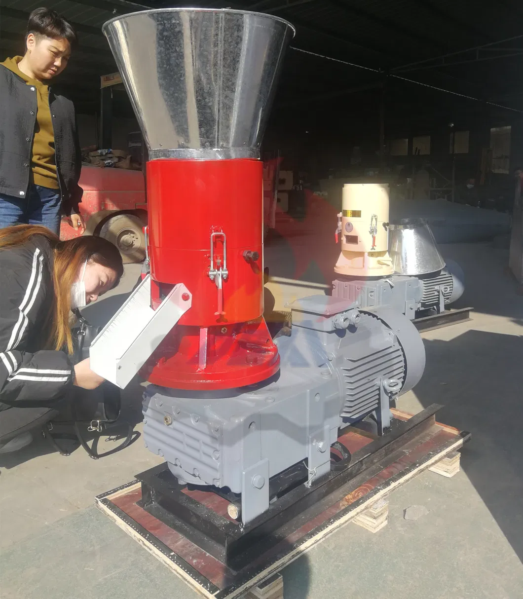 Mini Wood Sawdust Pellet Making Machine Wood Pellet Mill Biomass Pelletizer Roller Machines