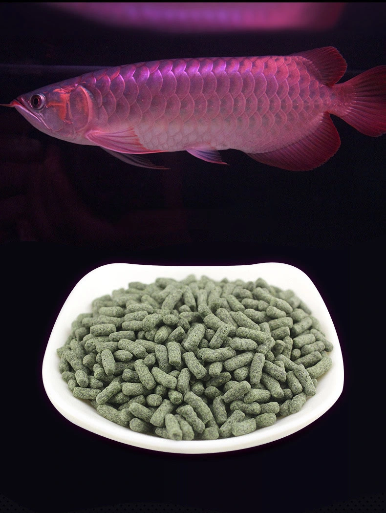 Red Dragon Special Fish Eating Pellet Feed