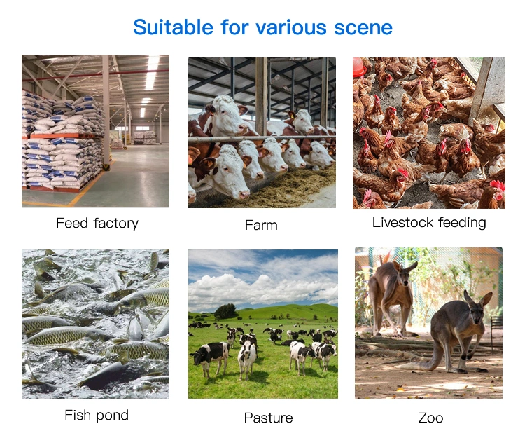Hot Selling Small Granulator Livestock Feed Pellet Machine Animal Feed Processing Machinery